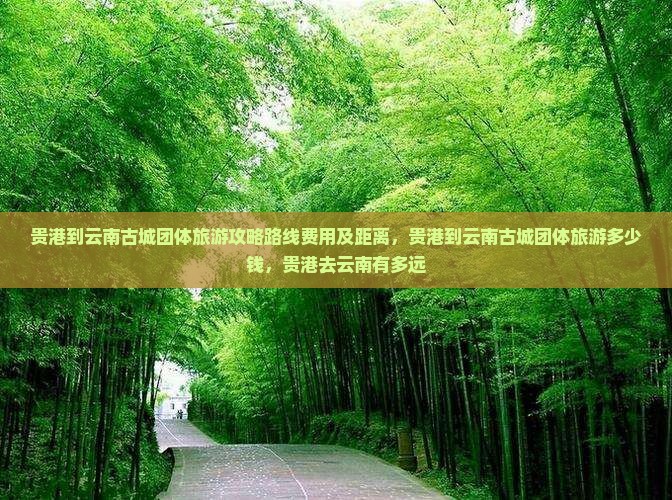贵港到云南古城团体旅游