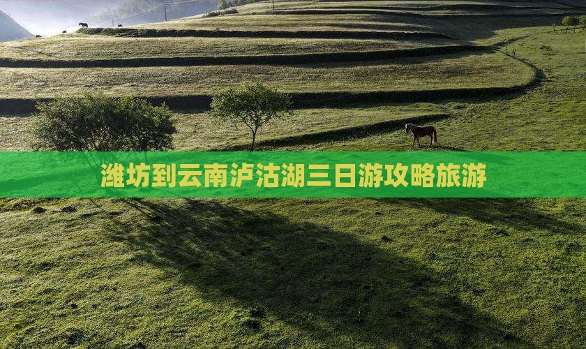 潍坊到云南泸沽湖三日游