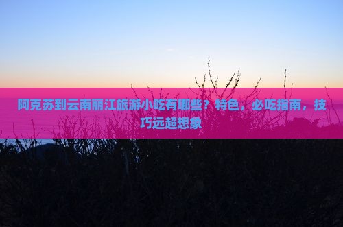 阿克苏到云南丽江旅游小吃