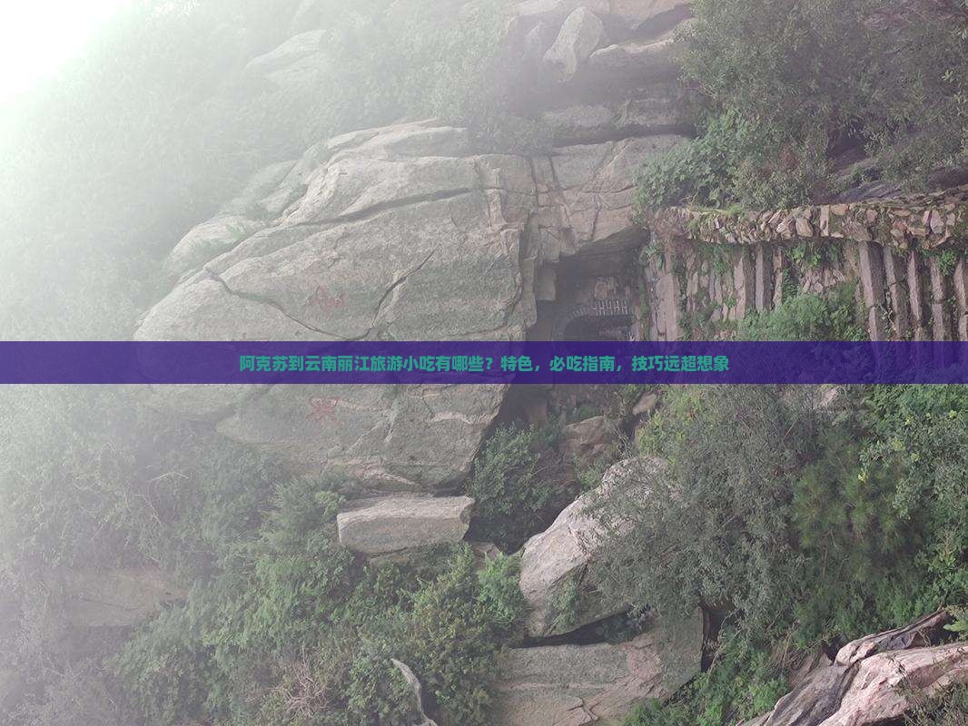 阿克苏到云南丽江旅游小吃