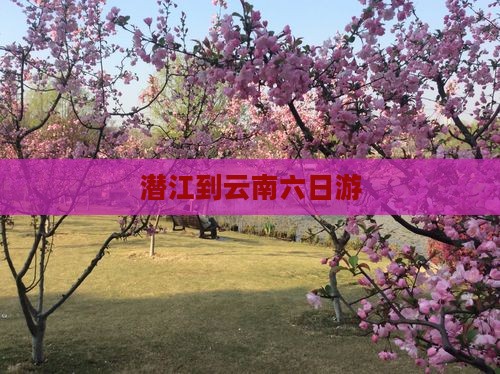 潜江到云南六日游