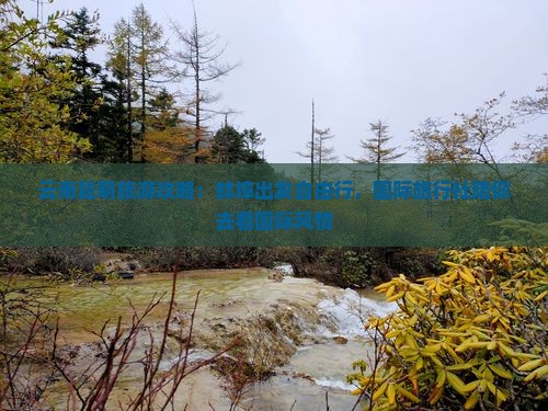 云南昆明旅游攻略：蚌埠出发自由行，国际旅行社陪你去看国际风情