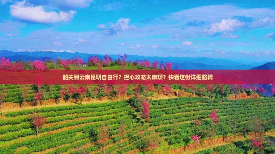 韶关到云南昆明自由行？担心攻略太麻烦？快看这份详细路稀