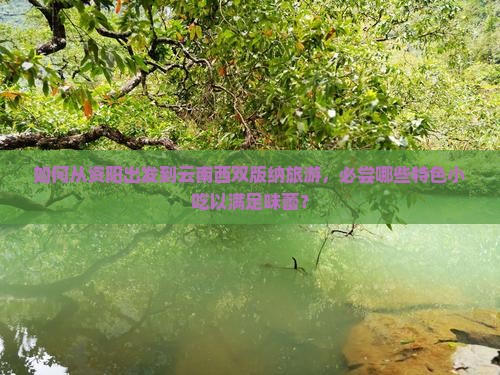 如何从资阳出发到云南西双版纳旅游，必尝哪些特色小吃以满足味蕾？