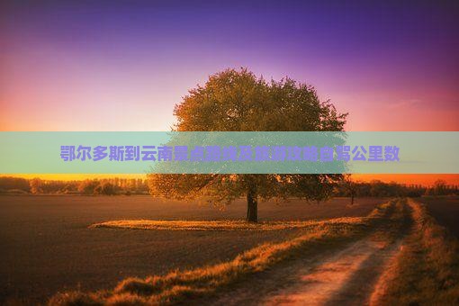 鄂尔多斯到云南景点路线及旅游攻略自驾公里数