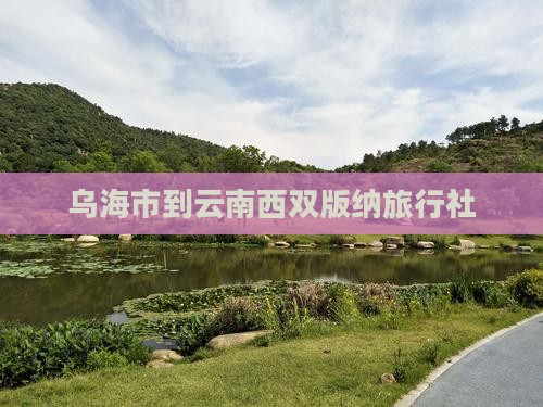 乌海市到云南西双版纳旅行社
