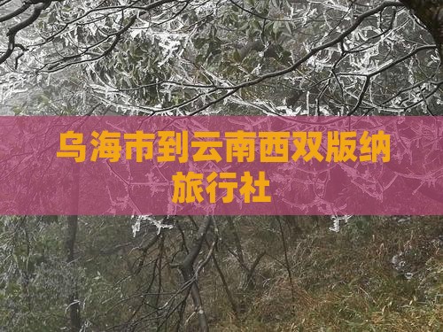 乌海市到云南西双版纳旅行社
