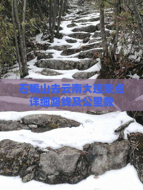 石嘴山去云南大理景点详细路线及公里数