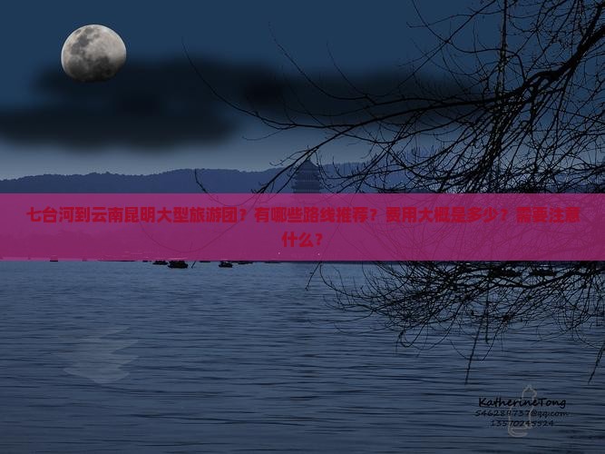 七台河到云南昆明大型旅游团？有哪些路线推荐？费用大概是多少？需要注意什么？