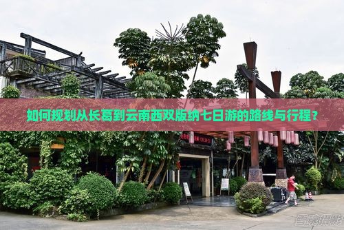 如何规划从长葛到云南西双版纳七日游的路线与行程？