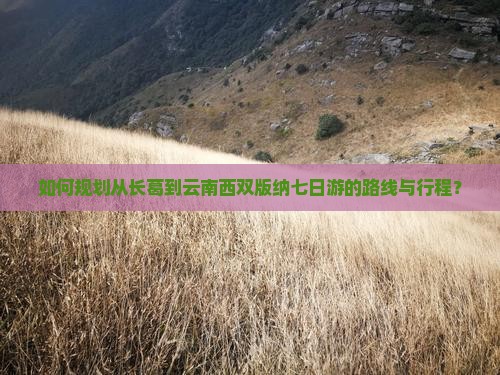 如何规划从长葛到云南西双版纳七日游的路线与行程？