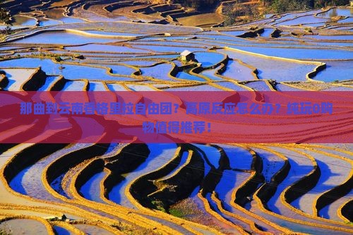 那曲到云南香格里拉自由团？高原反应怎么办？纯玩0购物值得推荐！