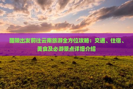 醴陵出发前往云南旅游全方位攻略：交通、住宿、美食及必游景点详细介绍