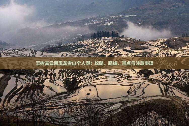 玉树去云南玉龙雪山个人游：攻略、路线、景点与注意事项
