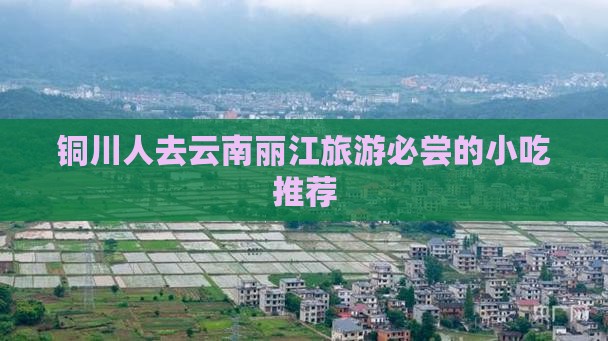 铜川人去云南丽江旅游必尝的小吃推荐