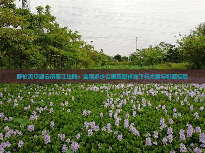 呼伦贝尔到云南丽江攻略：全程多少公里及最省钱飞行方案与机票信息