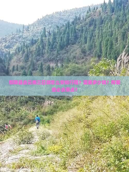 鄢陵县去云南三日游怎么安排行程？需要多少钱？有哪些必去景点？