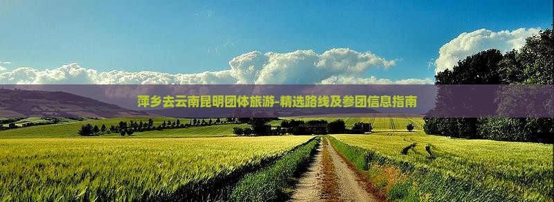 萍乡去云南昆明团体旅游-精选路线及参团信息指南