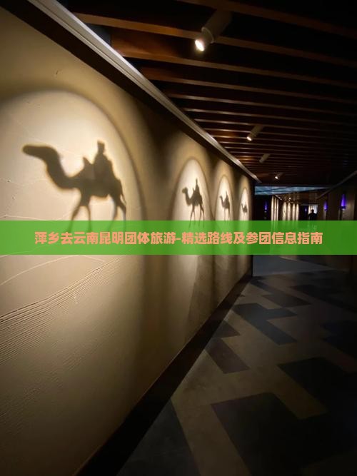 萍乡去云南昆明团体旅游-精选路线及参团信息指南
