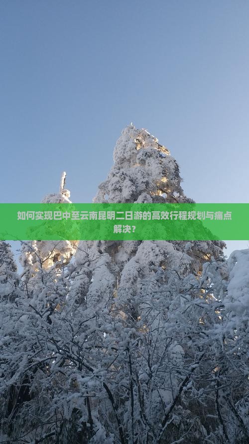 如何实现巴中至云南昆明二日游的高效行程规划与痛点解决？