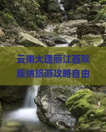 云南大理丽江西双版纳旅游攻略自由行行程去看看云南旅游信息国际旅行社路线旅行沿途版纳去看洱海景点旅游景点
