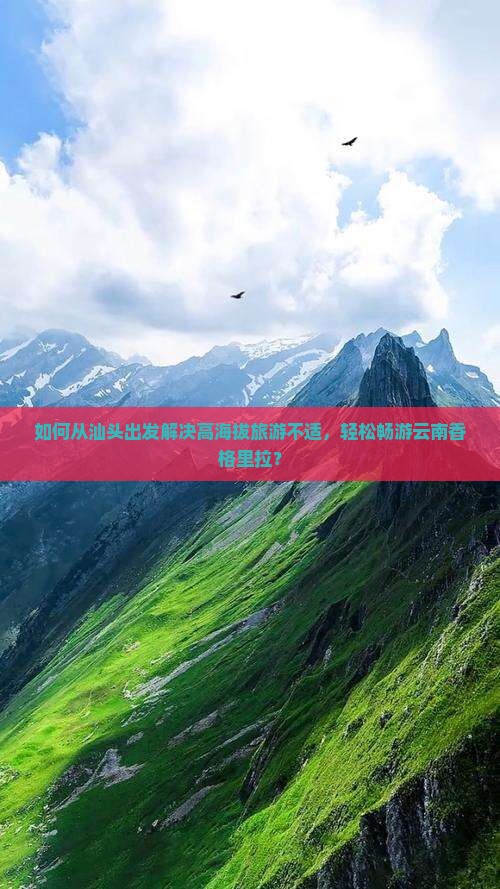 如何从汕头出发解决高海拔旅游不适，轻松畅游云南香格里拉？