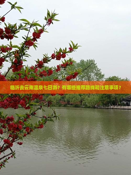 临沂去云南温泉七日游？有哪些推荐路线和注意事项？