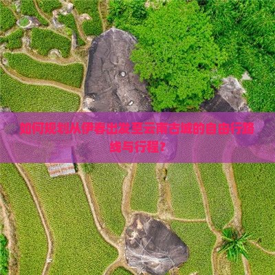 如何规划从伊春出发至云南古城的自由行路线与行程？