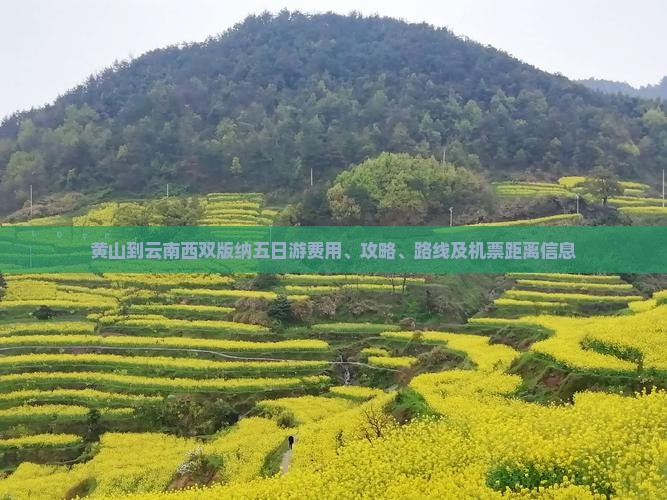 黄山到云南西双版纳五日游费用、攻略、路线及机票距离信息