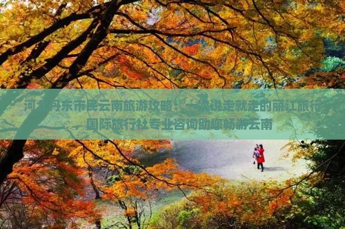 河北丹东市民云南旅游攻略：一次说走就走的丽江旅行，国际旅行社专业咨询助您畅游云南