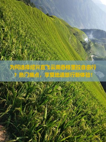 为何选择绍兴直飞云南香格里拉自由行？热门痛点，享受地道旅行新体验！