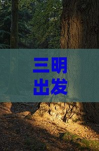 三明出发云南玉龙雪山一日游景点旅游攻略