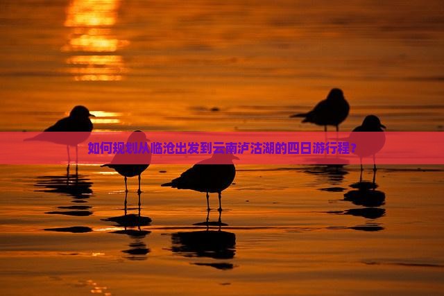 如何规划从临沧出发到云南泸沽湖的四日游行程？