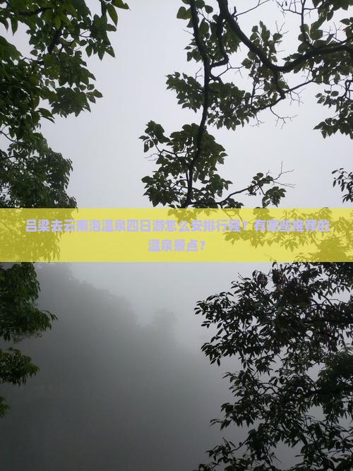 吕梁去云南泡温泉四日游怎么安排行程？有哪些推荐的温泉景点？