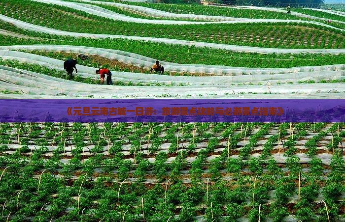 《元旦云南古城一日游：旅游景点攻略与必游景点指南》