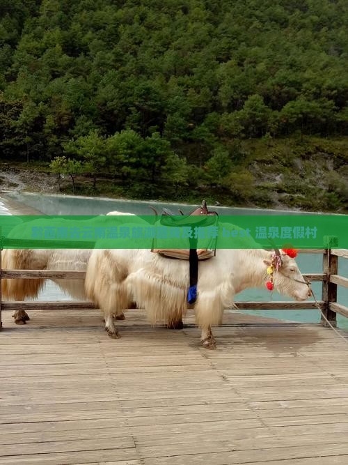 黔西南去云南温泉旅游路线及推荐 best 温泉度假村