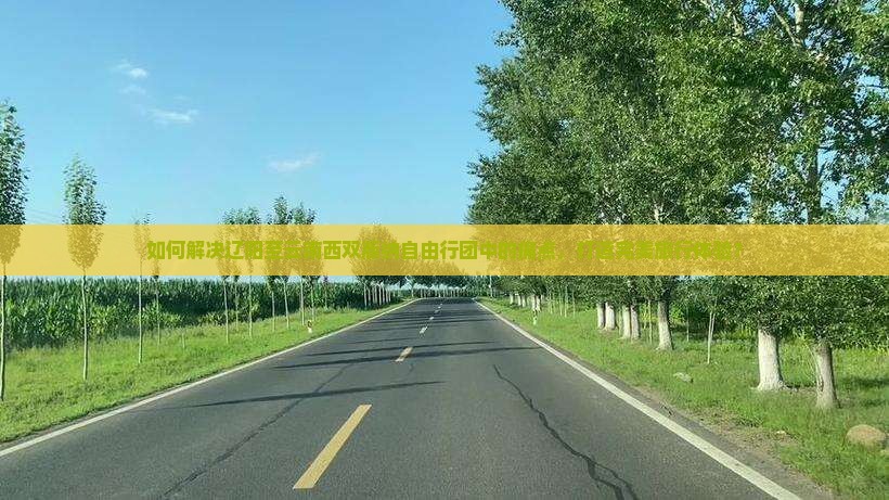 如何解决辽阳至云南西双版纳自由行团中的痛点，打造完美旅行体验？