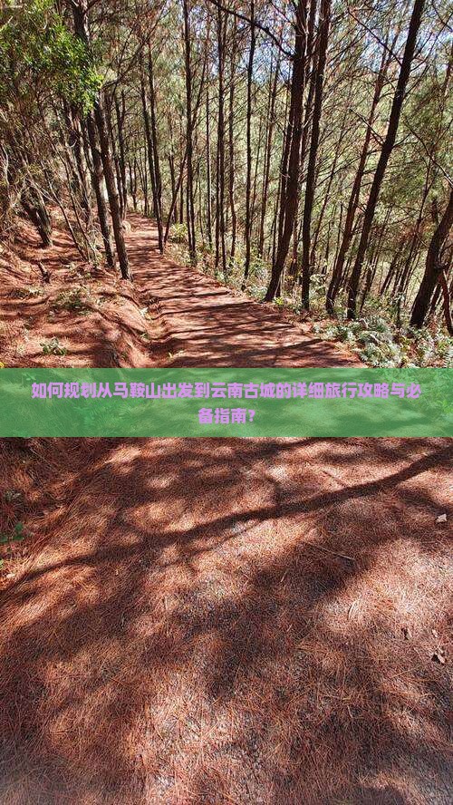 如何规划从马鞍山出发到云南古城的详细旅行攻略与必备指南？
