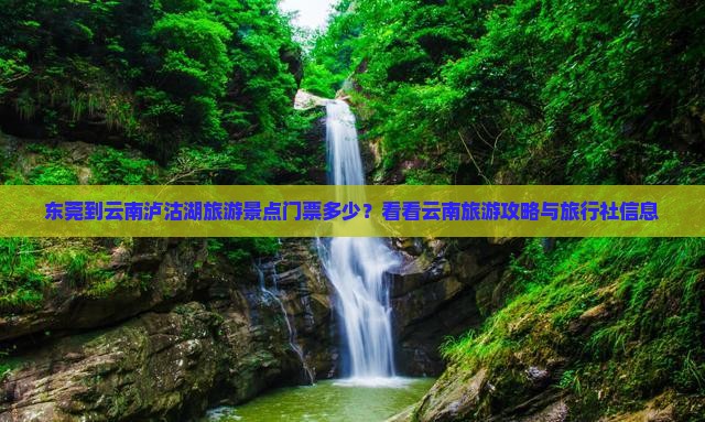 东莞到云南泸沽湖旅游景点门票多少？看看云南旅游攻略与旅行社信息