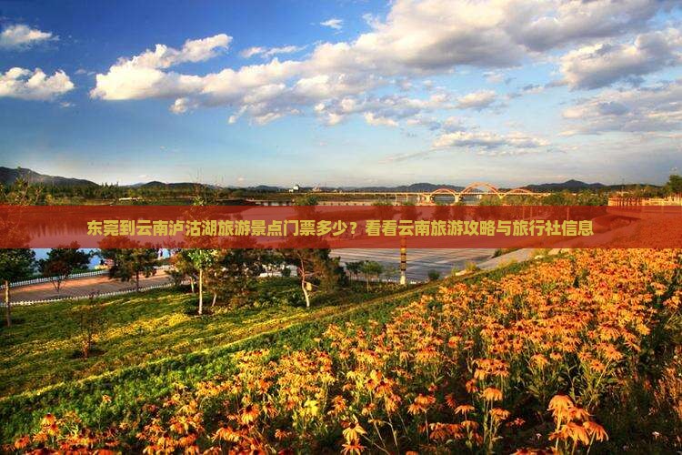 东莞到云南泸沽湖旅游景点门票多少？看看云南旅游攻略与旅行社信息