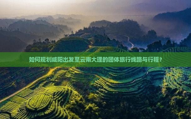 如何规划咸阳出发至云南大理的团体旅行线路与行程？