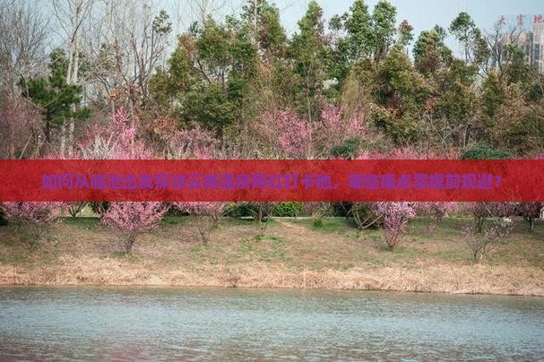 如何从临沧出发探访云南温泉网红打卡地，哪些痛点需提前规避？
