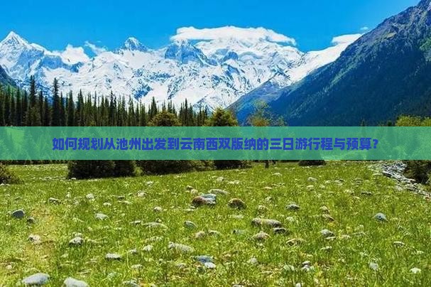 如何规划从池州出发到云南西双版纳的三日游行程与预算？