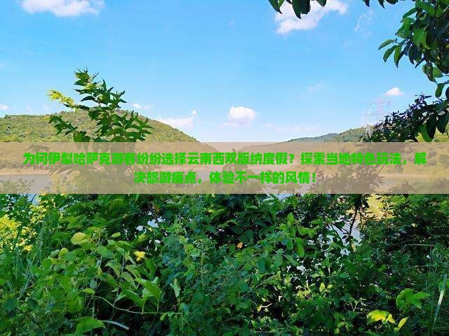 为何伊犁哈萨克游客纷纷选择云南西双版纳度假？探索当地特色玩法，解决旅游痛点，体验不一样的风情！