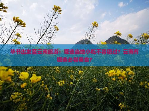 毕节出发至云南旅游：哪些当地小吃不容错过？云南有哪些必尝美食？
