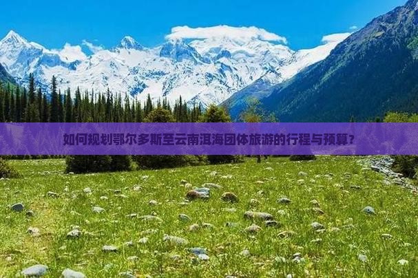 如何规划鄂尔多斯至云南洱海团体旅游的行程与预算？