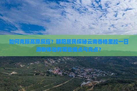 如何克服高原反应？朝阳居民探秘云南香格里拉一日游新体验有哪些痛点与亮点？