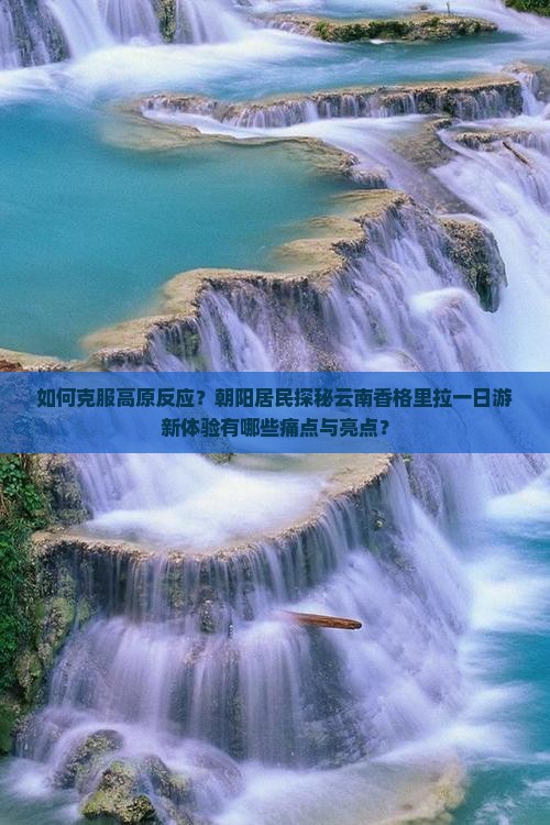 如何克服高原反应？朝阳居民探秘云南香格里拉一日游新体验有哪些痛点与亮点？