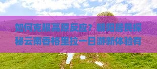 如何克服高原反应？朝阳居民探秘云南香格里拉一日游新体验有哪些痛点与亮点？