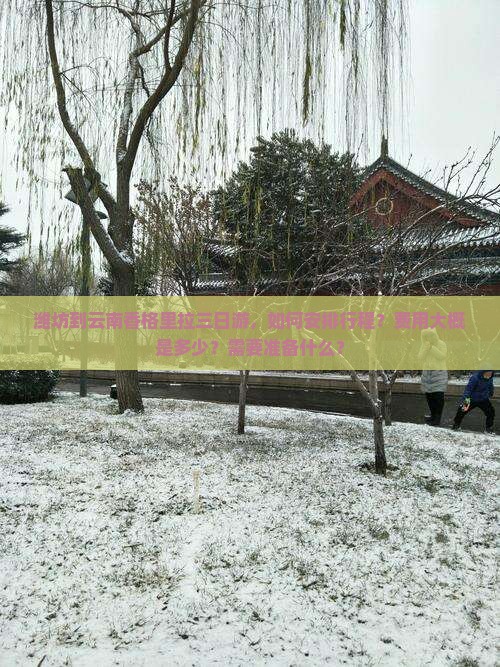 潍坊到云南香格里拉三日游，如何安排行程？费用大概是多少？需要准备什么？